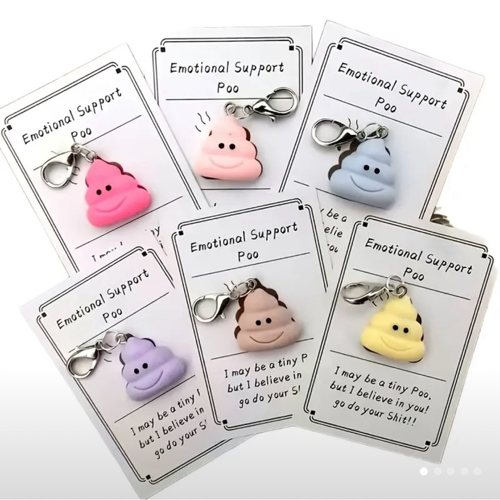 Emotional Support Poo Keychain Set - Multicolor